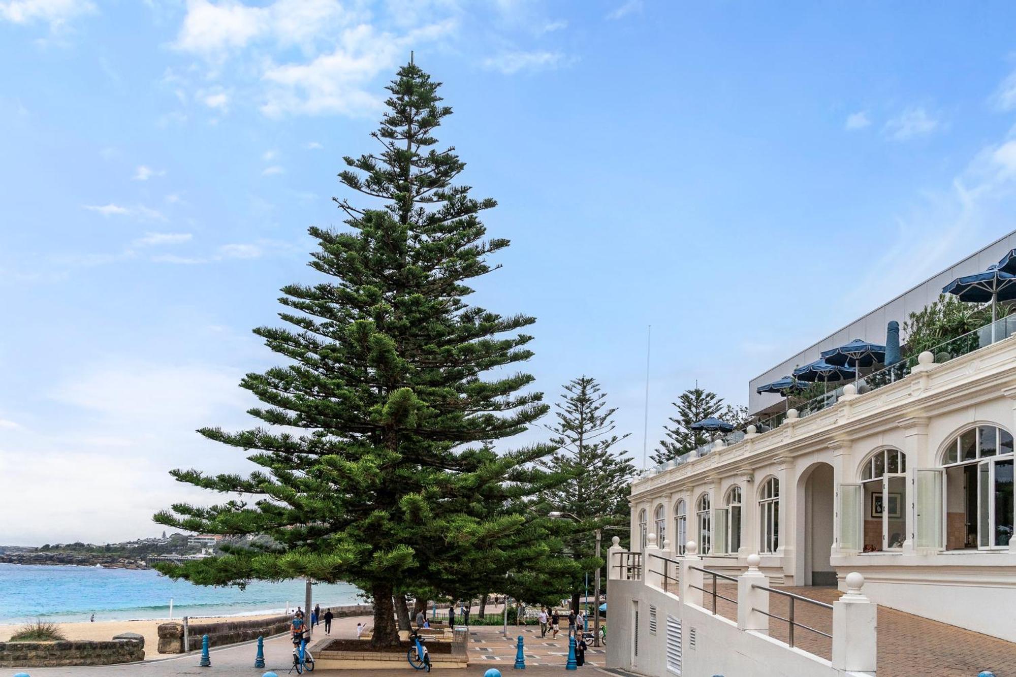 Apartment Inviting 2br Unit With Parking Near Coogee Sydney